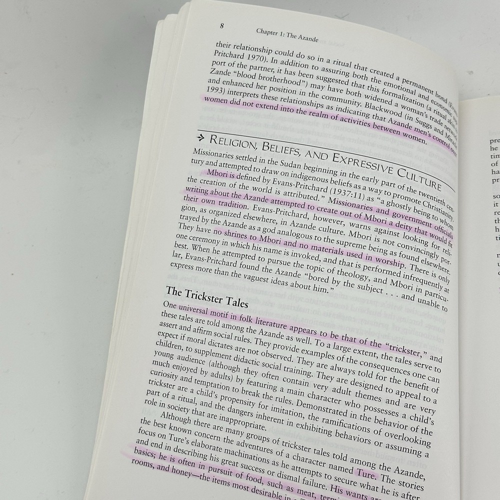 Culture Sketches: Case Studies in Anthropology 6th Sixth Edition Peters-Golden - Picture 7 of 8